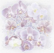 Декор Orchids